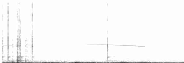 Black-eared Cuckoo - ML104256751