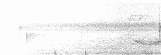 Каролинский крапивник - ML104373681