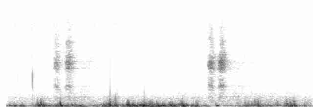 Ring-necked Pheasant - ML104389531