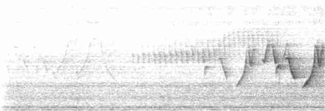 svartbrystparula - ML104402641