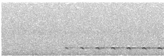 Chevêchette australe - ML104447061