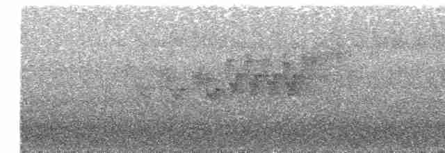Cerulean Warbler - ML104496911
