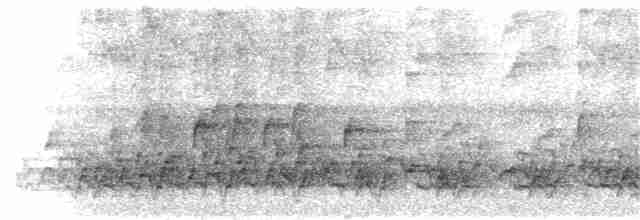 Лінивка-чорнопер білолоба - ML104517681