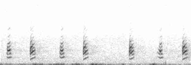 Magellanic Snipe - ML104540331