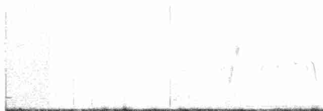 Ивовый мухолов - ML104574701