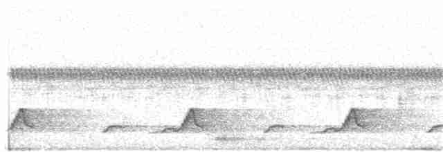 Schwarzkehl-Nachtschwalbe - ML104586861