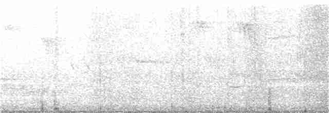 Black-billed Cuckoo - ML104605351
