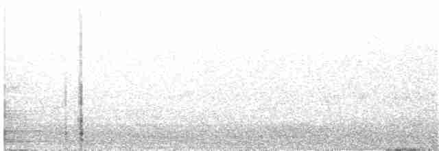 Дятел-смоктун білочеревий - ML104627551