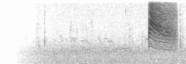 Kara Kuyruklu Bitkuşu - ML104690061