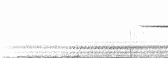 strnadec bělohrdlý - ML104716561