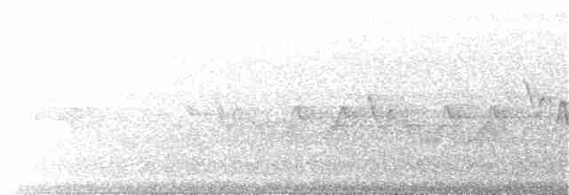 Common Yellowthroat - ML104718271