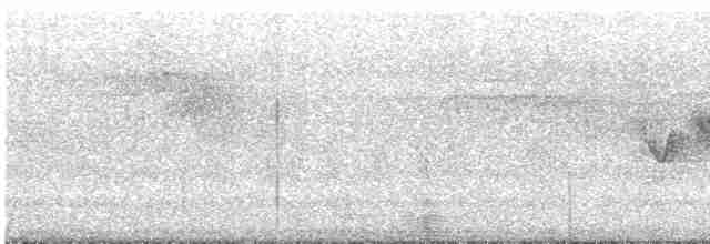 Cerulean Warbler - ML104753311