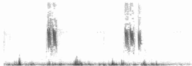 Hirondelle bicolore - ML104755181