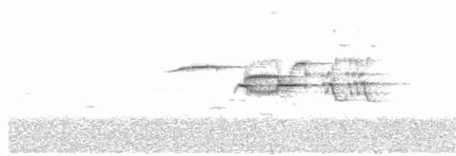 Münzevi Bülbül Ardıcı - ML104757511