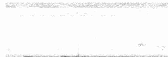 Бурошапочный острокрылый дятел - ML104782771