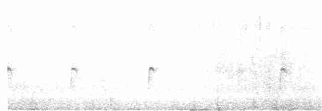 Spotted Sandpiper - ML104816001