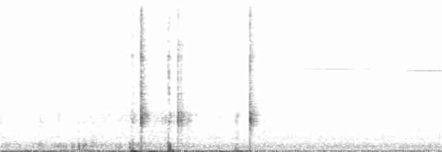 hvitstrupespurv - ML104819241