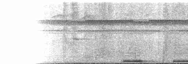 Bornean Ground-Cuckoo - ML104829791