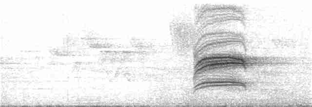 Дрізд-короткодзьоб плямистоволий - ML104848481