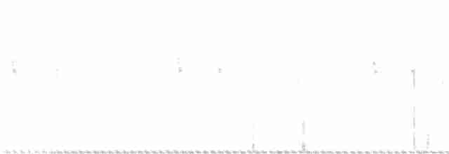 savannesølvnebb - ML104865651