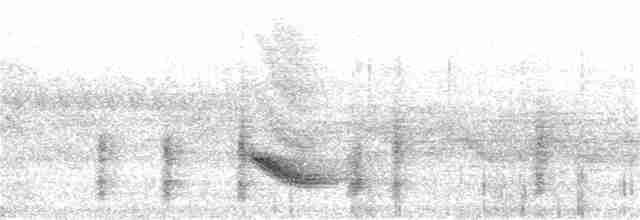 Дрізд-короткодзьоб бурий - ML104878111