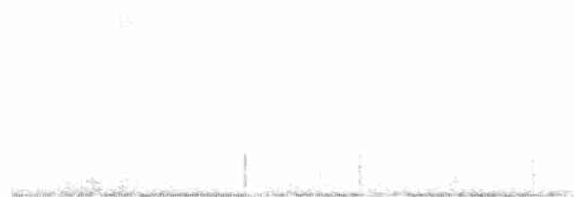 Kara Kuyruklu Bitkuşu - ML104888701
