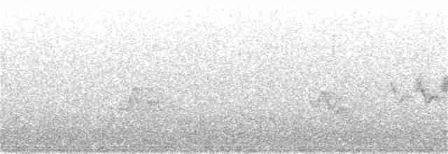 Cerulean Warbler - ML104895271