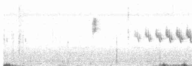 極北柳鶯 - ML104900411