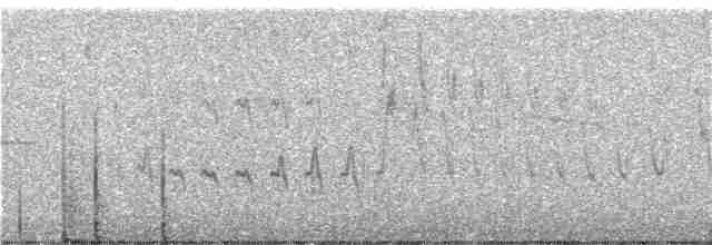 Colibrí Chivito de Arcos - ML104901351