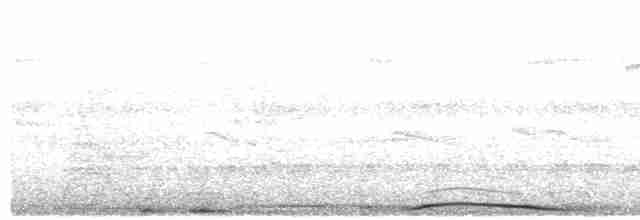 holub neotropický - ML104903271