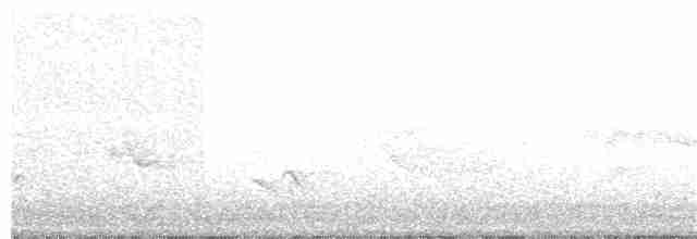 lesňáček černobílý - ML104954331