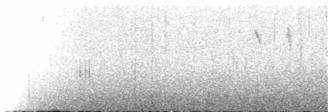 Conirostre géant - ML104967071