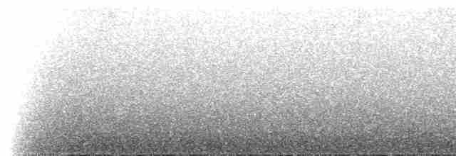 Rufous-eared Brushfinch - ML104971241