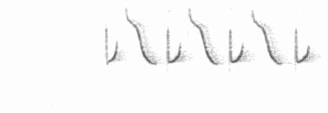 sýkora uhelníček (ssp. britannicus/hibernicus) - ML105000721