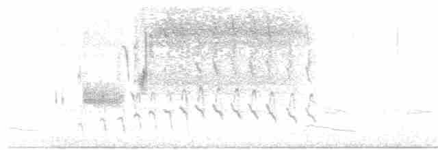 Приморская овсянка-барсучок (maritima/macgillivraii) - ML105113721