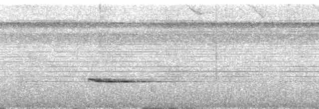 Stripe-throated Wren - ML105126