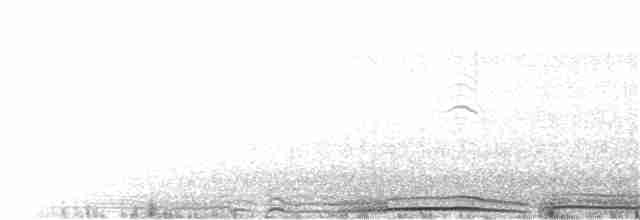 Wedge-tailed Shearwater - ML105161101