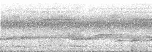 Fork-tailed Drongo-Cuckoo - ML105184751
