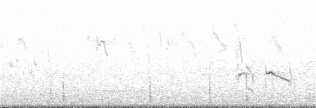 Little Ringed Plover - ML105211131