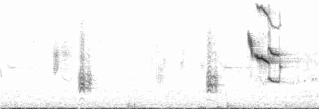 Пересмішник сірий - ML105214341