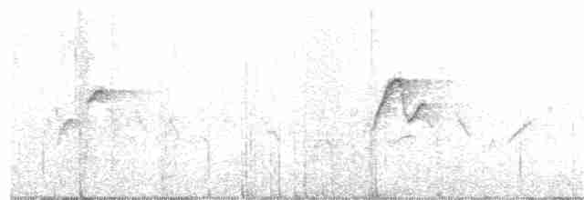 Batı Amerika Sinekkapanı (occidentalis/hellmayri) - ML105221271