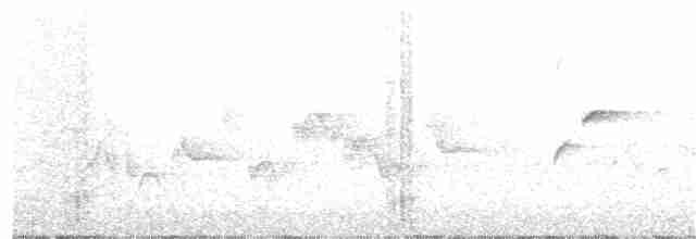 Batı Amerika Sinekkapanı (occidentalis/hellmayri) - ML105221281
