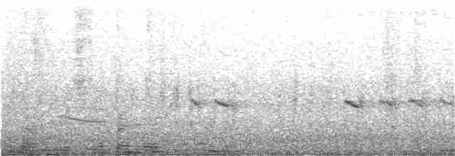 Little Ringed Plover - ML105223221
