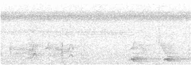dvergsvømmerikse - ML105227151