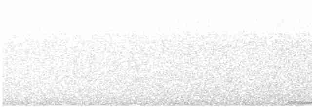 Lined Quail-Dove - ML105247051