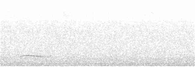holub bledočelý - ML105247261