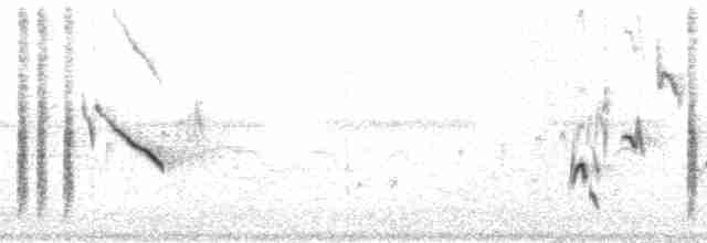 Hooded Oriole (cucullatus/sennetti) - ML105254