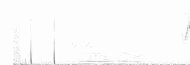Mourning Warbler - ML105282111
