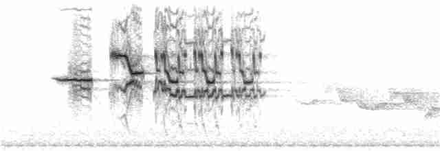 Münzevi Bülbül Ardıcı - ML105296601