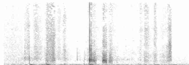 Дрізд-короткодзьоб Cвенсона - ML105395951